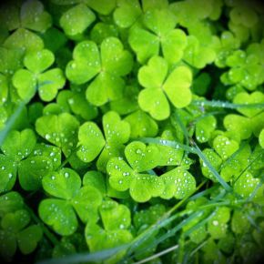 St. Patrick’s Day is Valentine’s Day’s Drunk&nbsp;Uncle