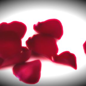 14 Surefire Ways to Seduce&nbsp;Yourself