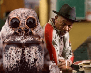 million dollar baby with spider