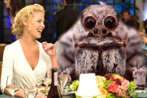 the ugly truth with spider