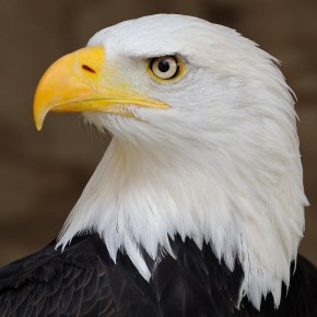 Millions of Americans flock to Facebook to post clever jokes about the government shutdown because “what else CAN we&nbsp;do?!”