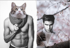 hotguycat7