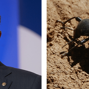 LOOK, LOOK: Ted Cruz Is Going To Eat A&nbsp;Bug