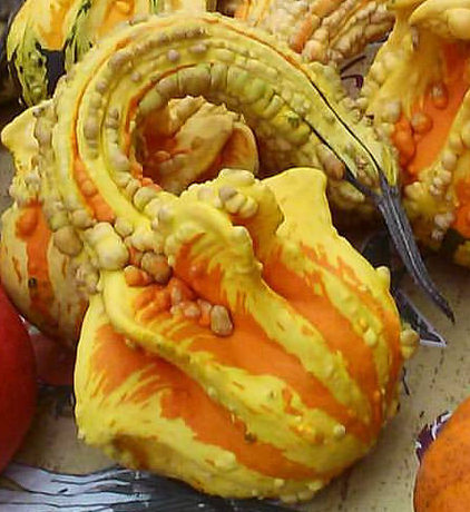 5-gourds